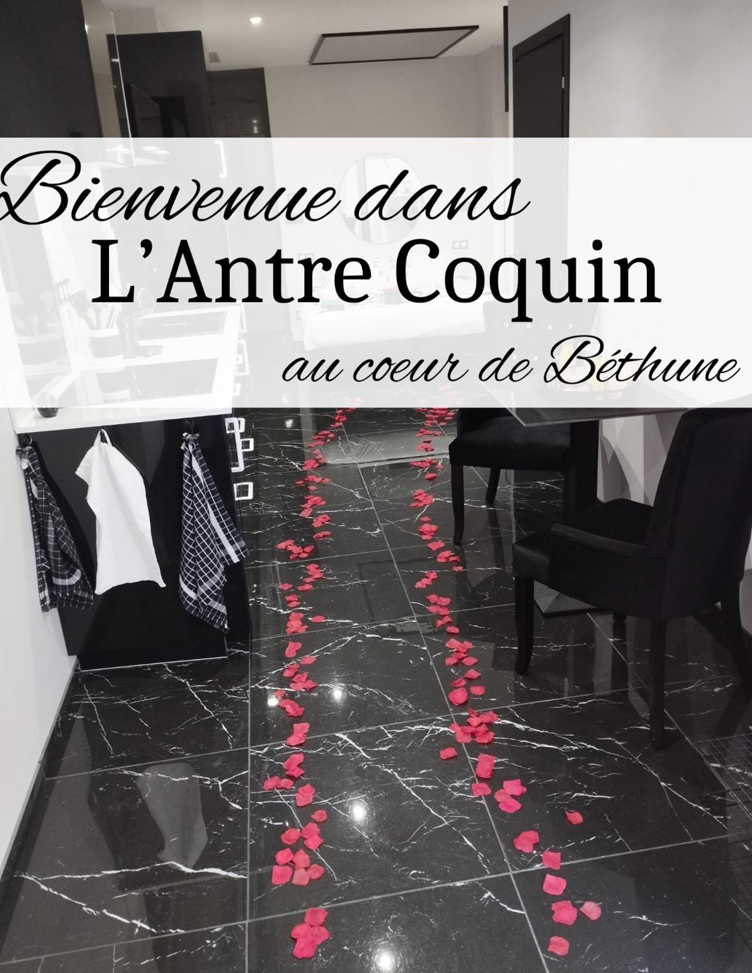 Апартаменты L'Antre Coquin Бетюн Экстерьер фото